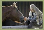 angstfrei reiten lernen