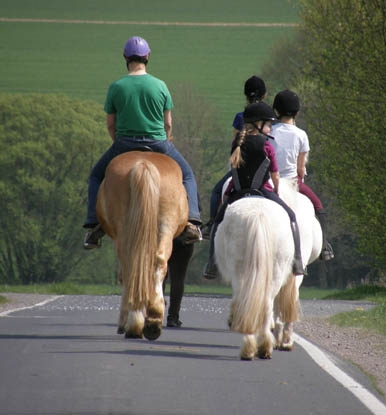 Reiten im Straßenverkehr