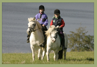 Reiterferien im Waldsee Camp